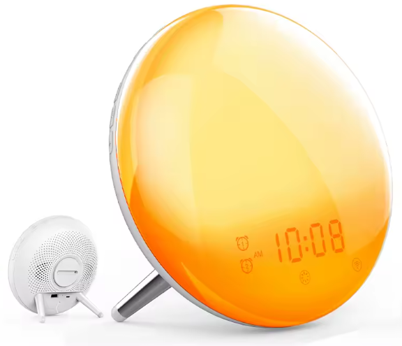 lys 7.png__PID:127a6f66-c888-4d37-9027-26a831ef8cd2